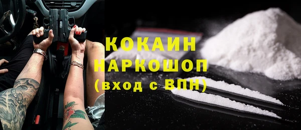 гидра Аркадак