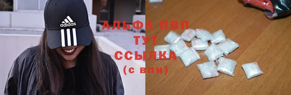 гидра Аркадак