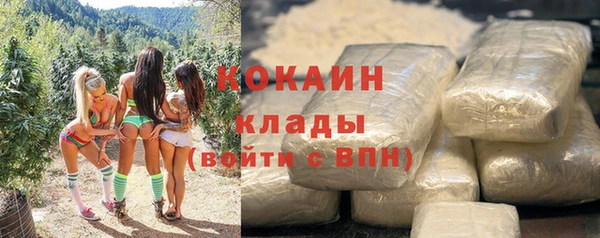 молекула духа Гусев