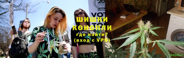 гидра Аркадак