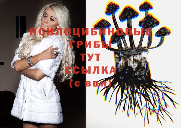 каннабис Арсеньев