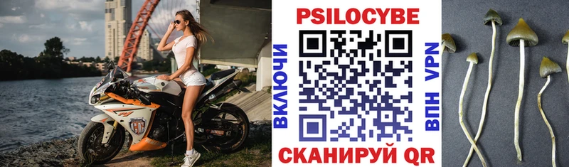 Псилоцибиновые грибы мицелий  Нижнеудинск 